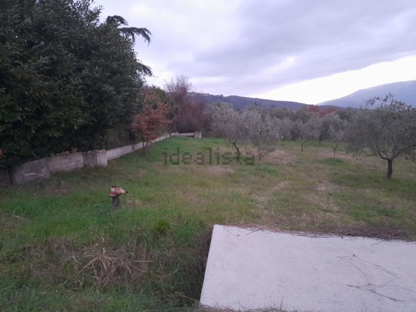 casa semindipendente in vendita a Pozzilli