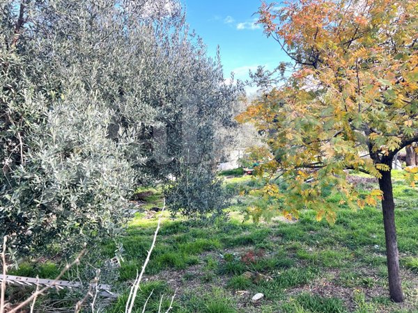 terreno edificabile in vendita a Pozzilli