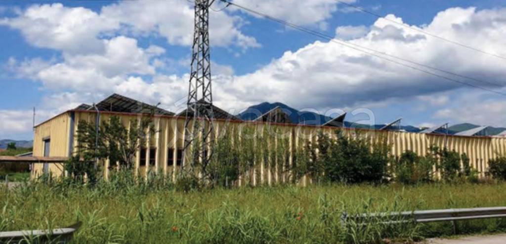 intera palazzina in vendita a Pozzilli