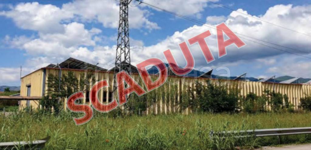 locale commerciale in vendita a Pozzilli