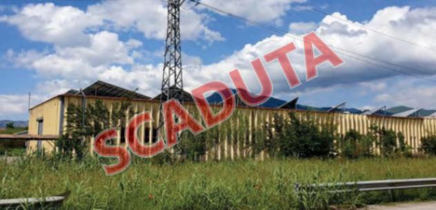 pentavano in vendita a Pozzilli