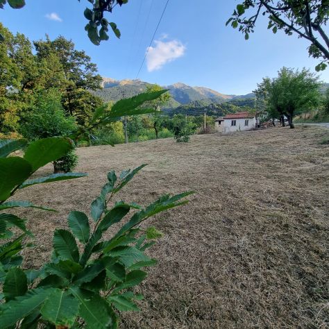 appartamento in vendita a Roccamandolfi