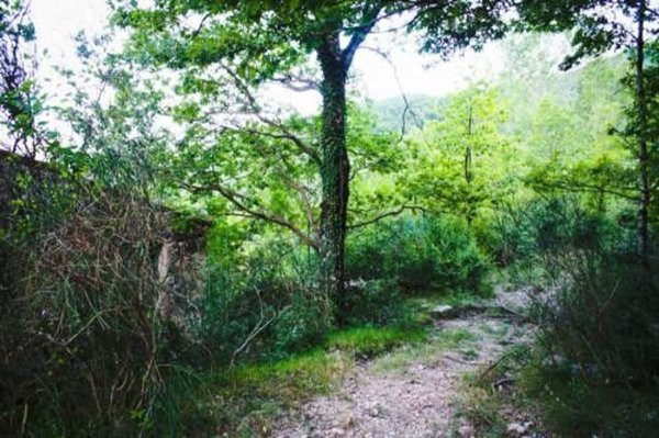appartamento in vendita a Rocchetta a Volturno