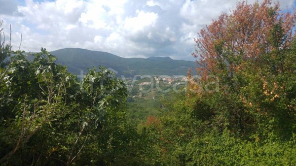 appartamento in vendita a Rocchetta a Volturno