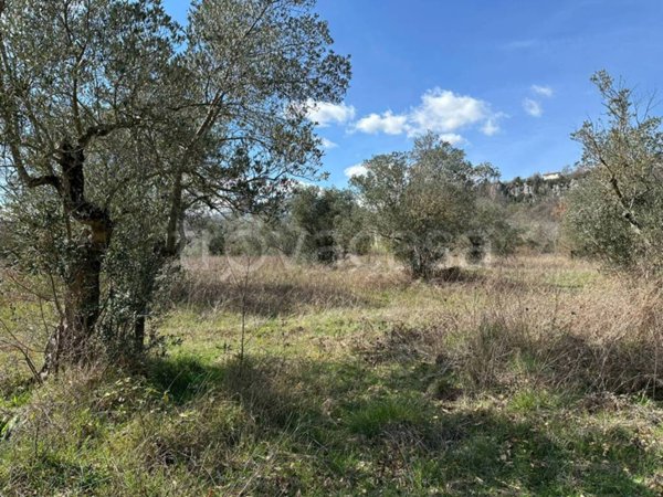 terreno agricolo in vendita a Rocchetta a Volturno