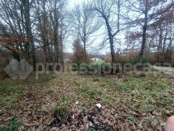 appartamento in vendita a San Pietro Avellana