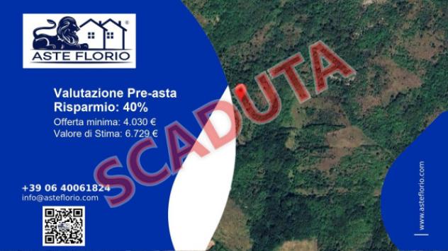 terreno agricolo in vendita a Santa Maria del Molise