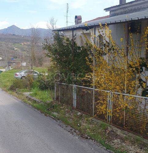 casa indipendente in vendita a Scapoli