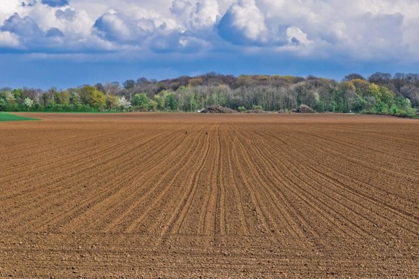 terreno agricolo in vendita a Venafro