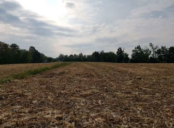 terreno agricolo in vendita a Venafro