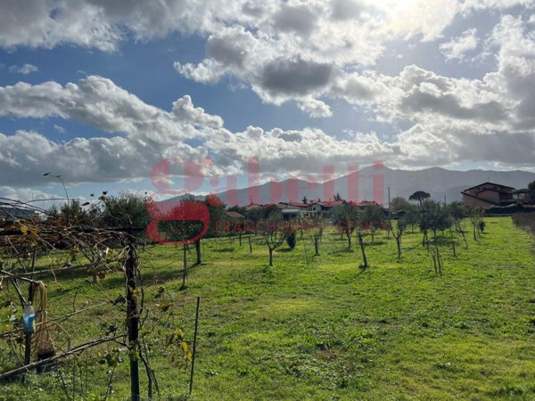 terreno agricolo in vendita a Venafro