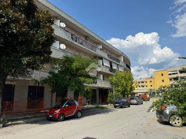 appartamento in vendita a Venafro
