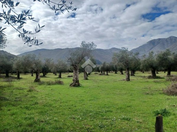 terreno agricolo in vendita a Venafro in zona Ceppagna