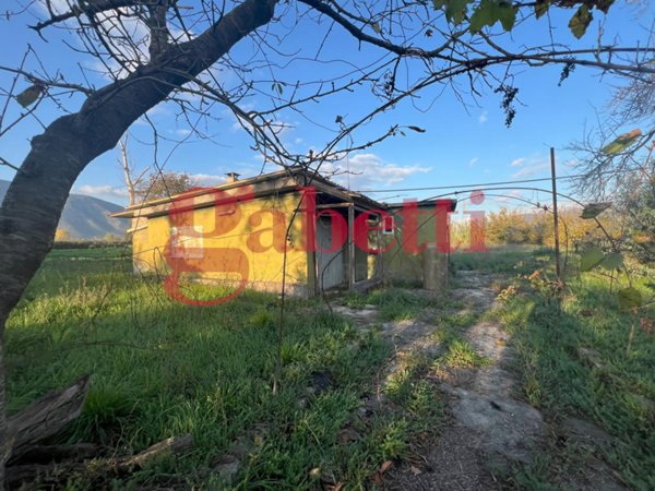 casa indipendente in vendita a Venafro