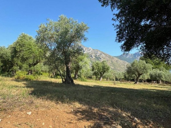terreno agricolo in vendita a Venafro