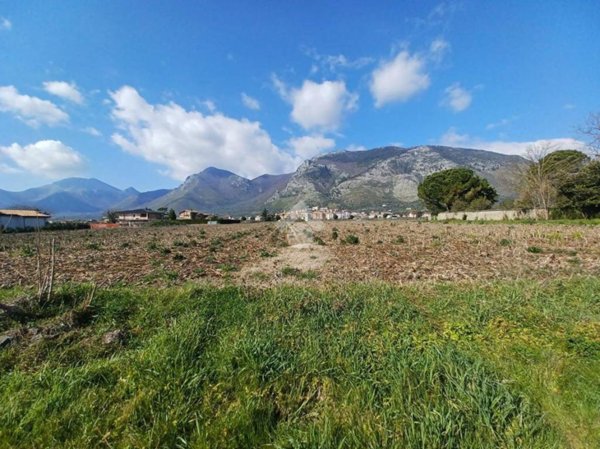 terreno agricolo in vendita a Venafro