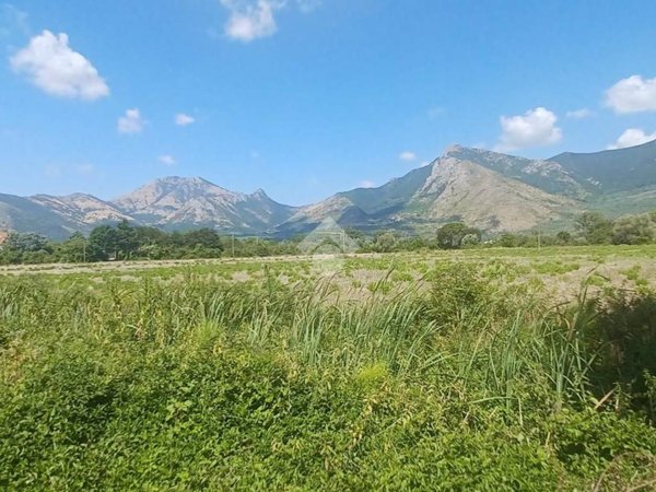 terreno agricolo in vendita a Venafro
