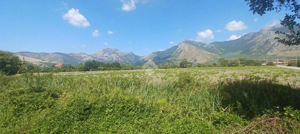terreno agricolo in vendita a Venafro