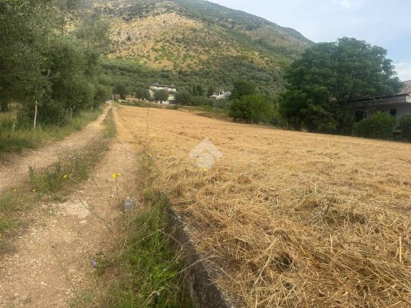 terreno agricolo in vendita a Venafro