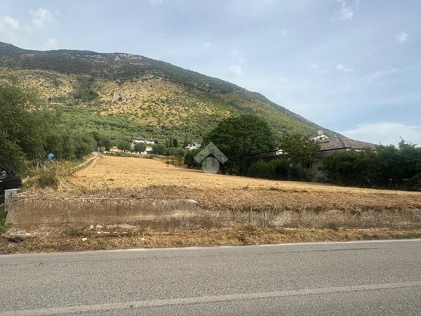 terreno agricolo in vendita a Venafro
