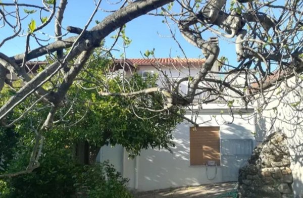 casa indipendente in vendita ad Ales