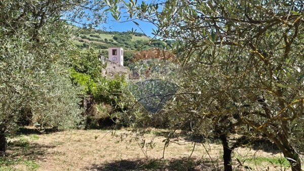 casa indipendente in vendita ad Allai