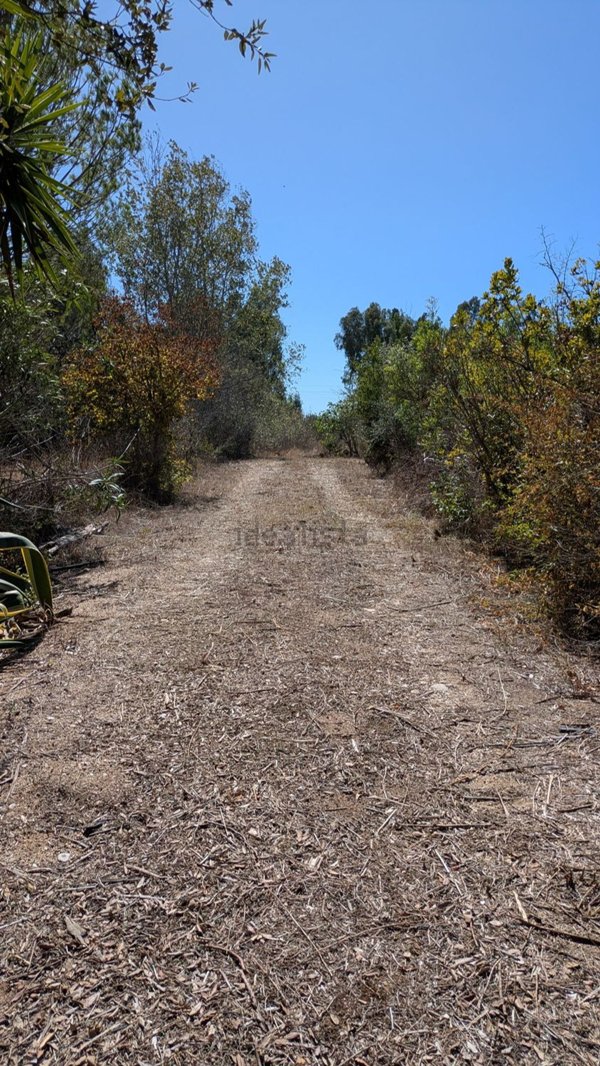 terreno agricolo in vendita a Baratili San Pietro