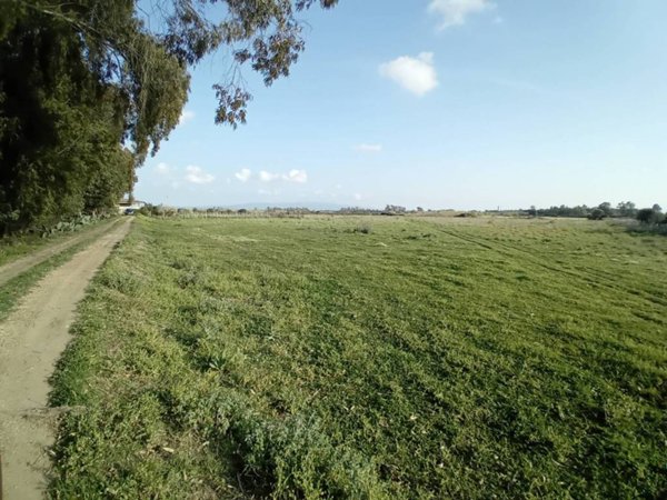 terreno agricolo in vendita a Baratili San Pietro
