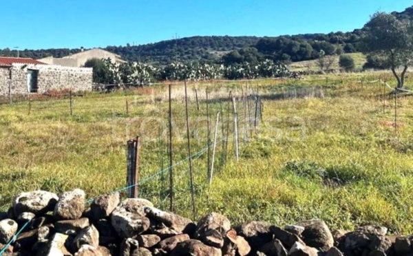 terreno agricolo in vendita a Bauladu
