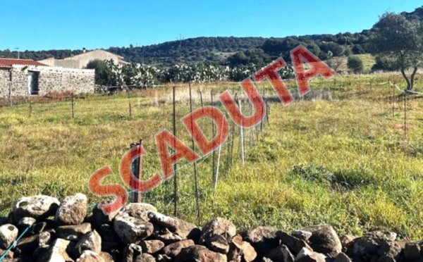 terreno agricolo in vendita a Bauladu