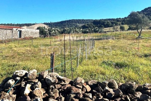 casa indipendente in vendita a Bauladu