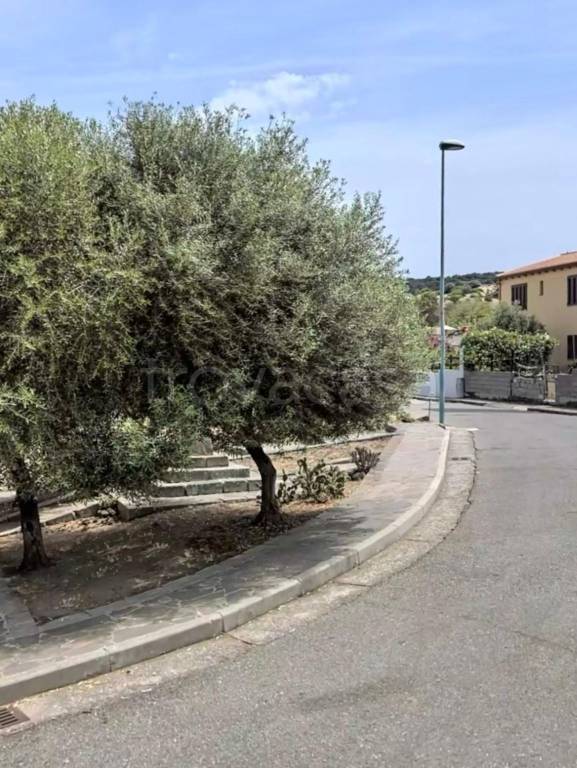 casa indipendente in vendita a Bauladu