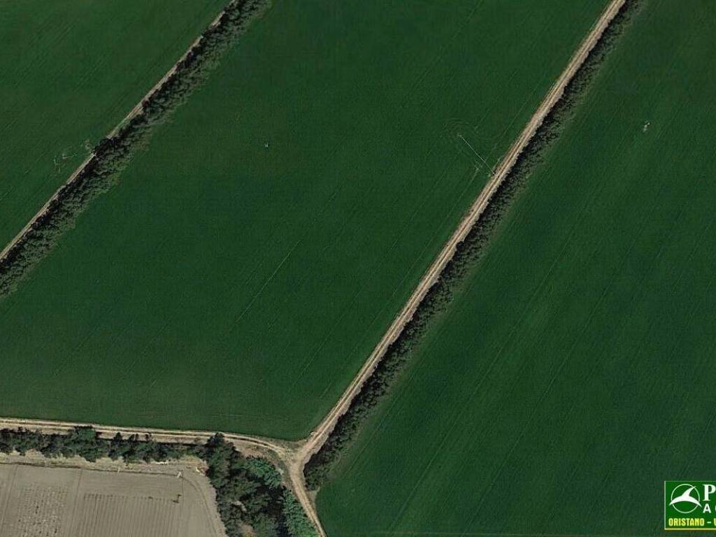 terreno in vendita a Cabras in zona Solanas