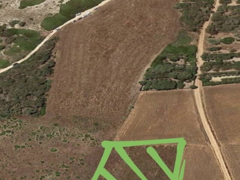 terreno agricolo in vendita a Cabras