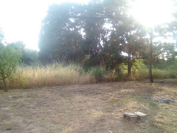 terreno edificabile in vendita a Cabras in zona Solanas