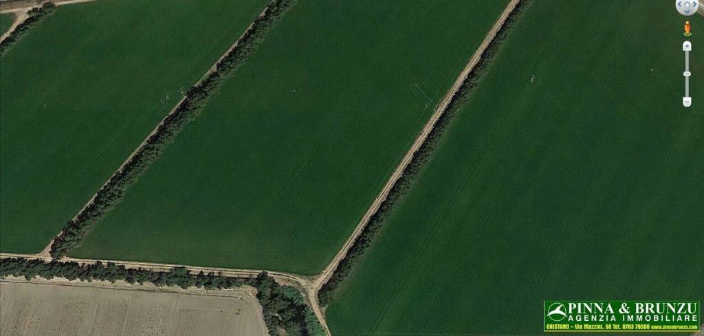 terreno agricolo in vendita a Cabras