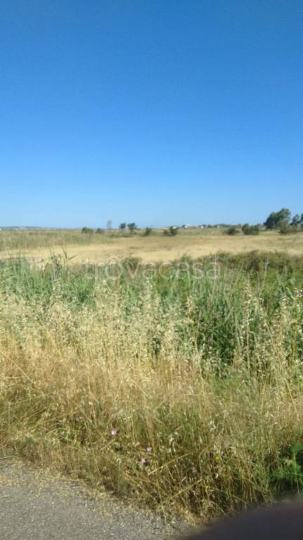 terreno agricolo in vendita a Cabras