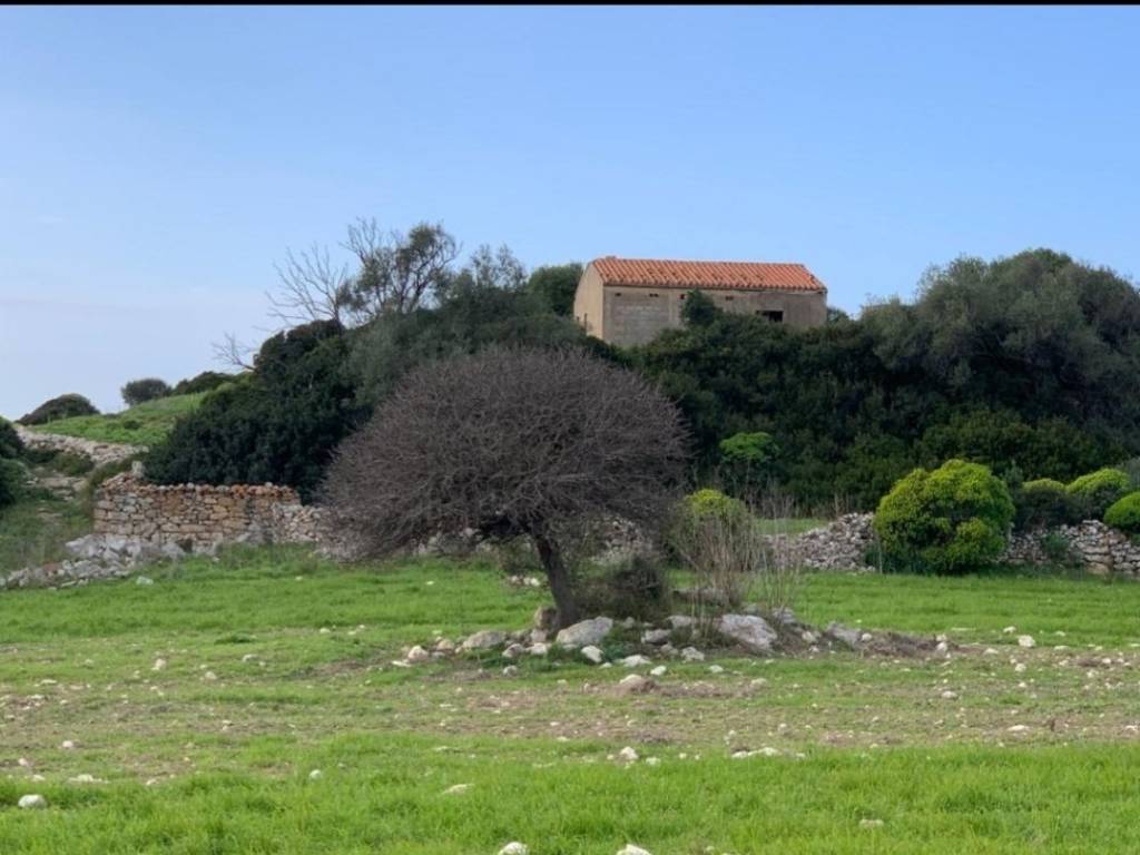 terreno agricolo in vendita a Cuglieri in zona S'Archittu