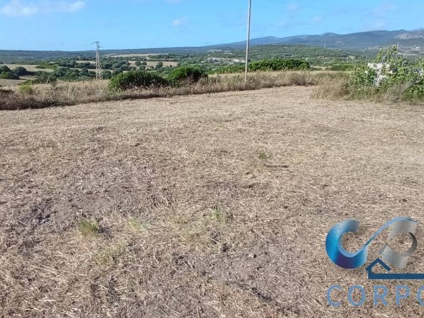 terreno agricolo in vendita a Cuglieri