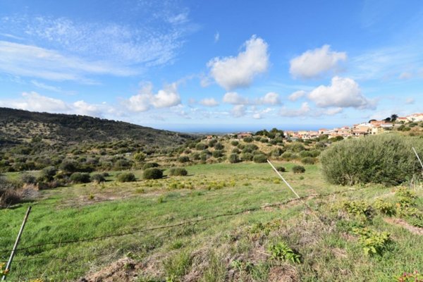 terreno agricolo in vendita a Cuglieri