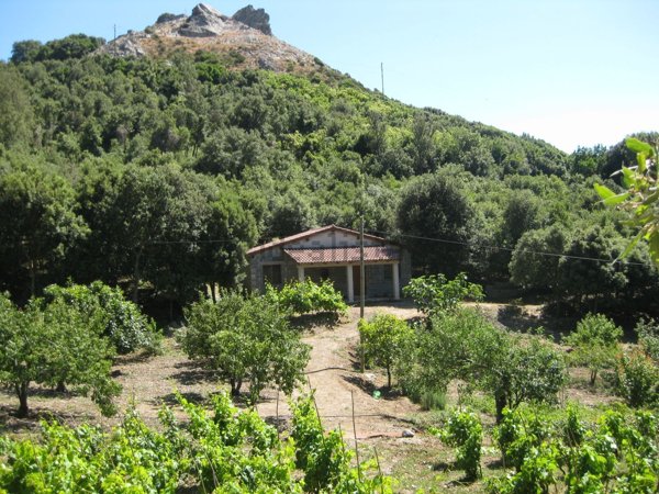 casa indipendente in vendita a Cuglieri