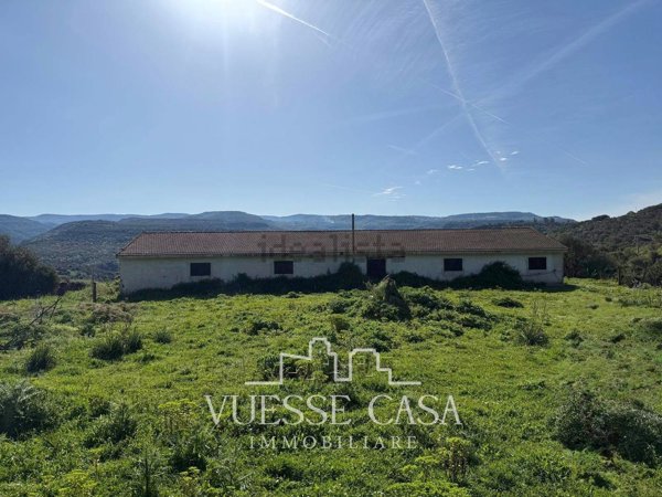 terreno agricolo in vendita a Ghilarza