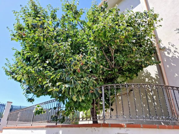 casa indipendente in vendita a Marrubiu