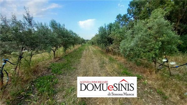 terreno in vendita a Milis