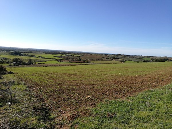 terreno edificabile in vendita a Narbolia