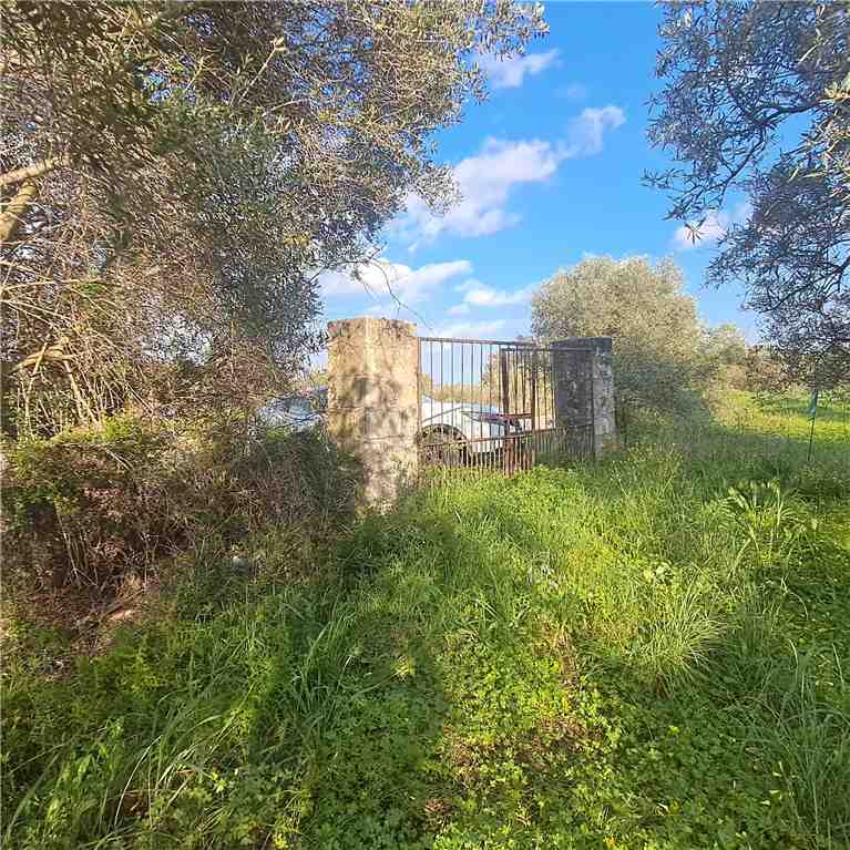 terreno agricolo in vendita a Narbolia