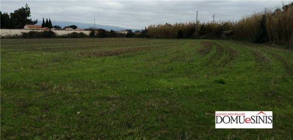terreno agricolo in vendita a Nurachi