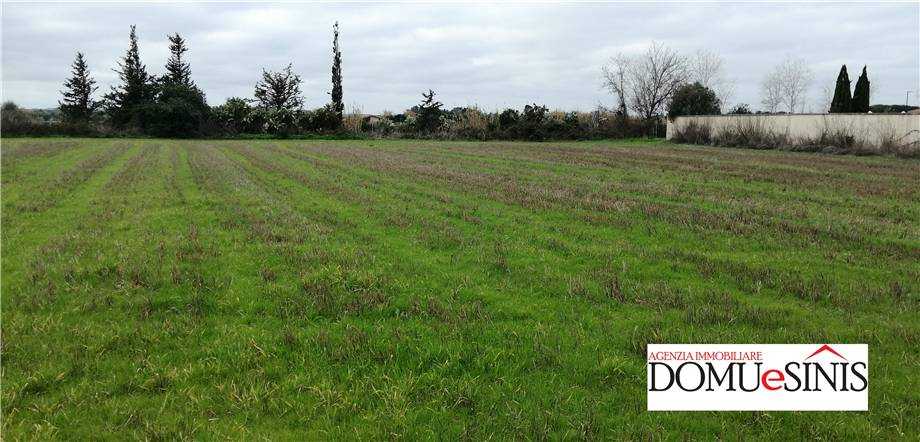 terreno agricolo in vendita a Nurachi