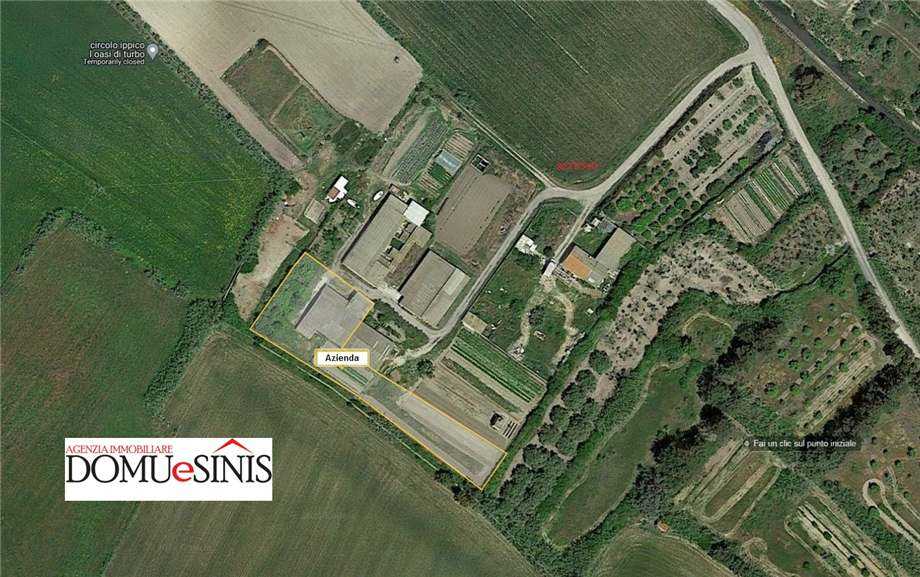 azienda agricola in vendita a Nurachi
