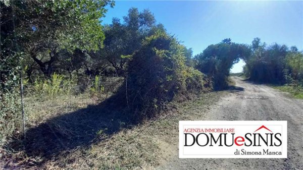 terreno agricolo in vendita a Nurachi